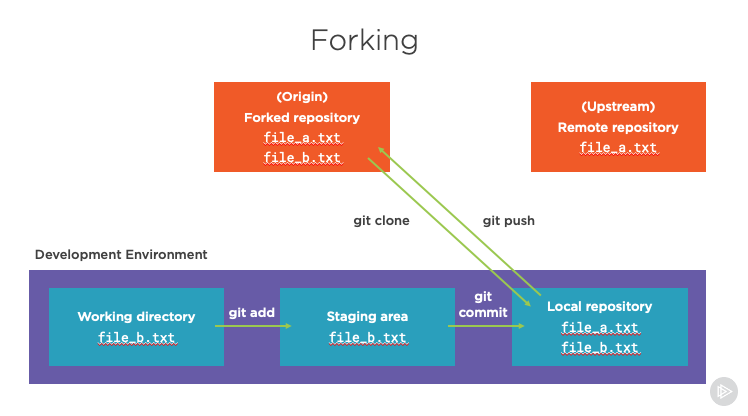 Visualization of a git workflow involving forks