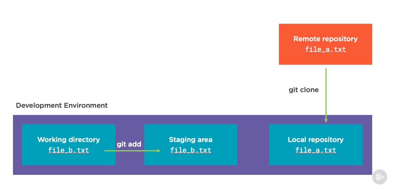 Screenshot of adding the file to staging area