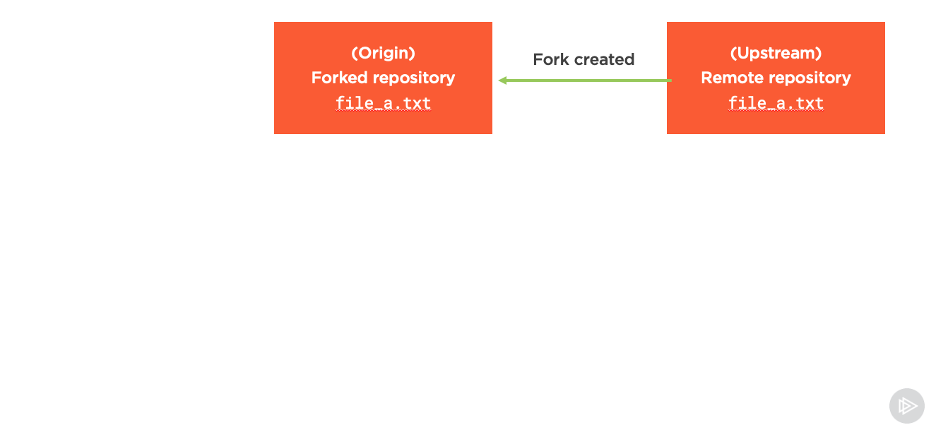 Screenshot of forking process
