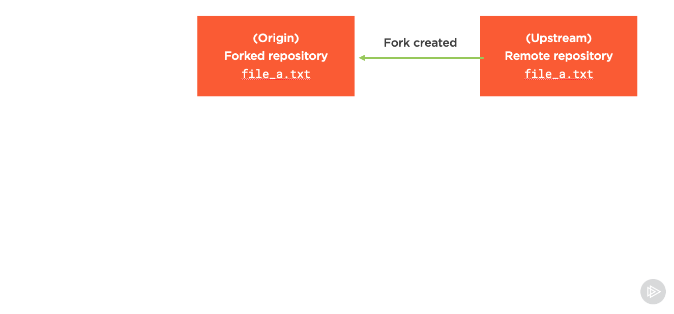 git definition fork