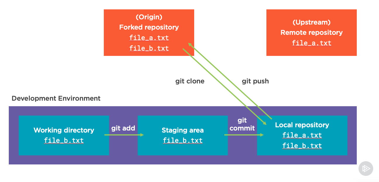 Git workflow with a fork